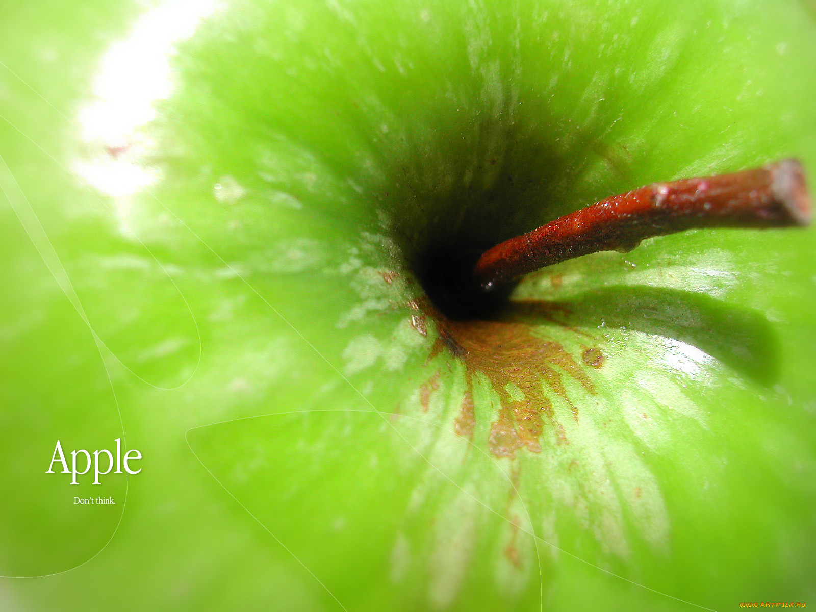 don`t, think, feel, , apple